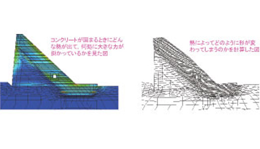 生きているコンクリート